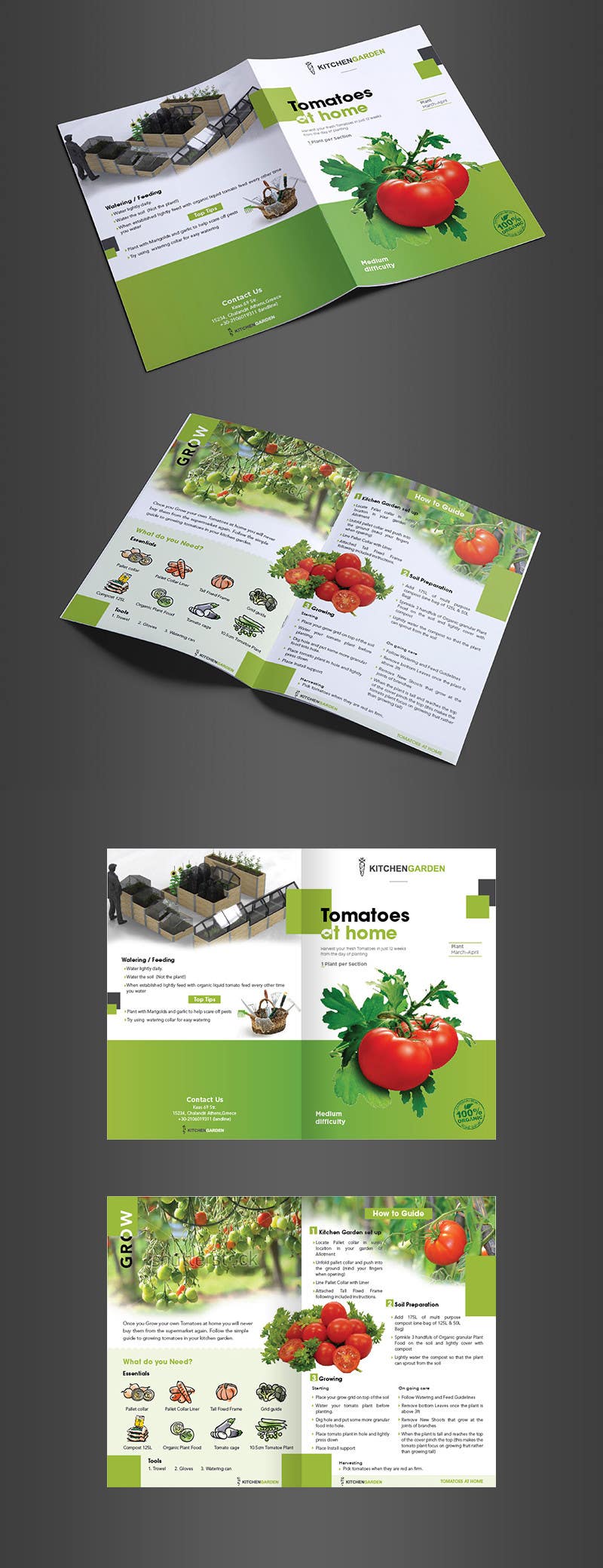 Proposition n°11 du concours                                                 Vegetable Growing  How to Guide card & calender
                                            
