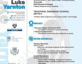 #19 for Turn my CV into an graphic cv af kimuchan