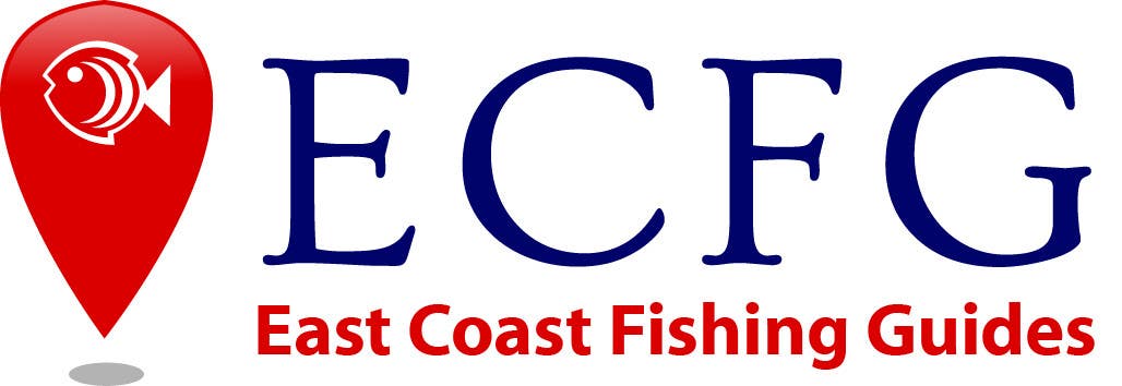 Contest Entry #63 for                                                 Design a Logo for ECFG
                                            