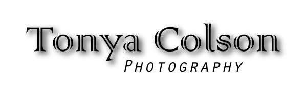 Proposition n°107 du concours                                                 Logo Design for Tonya Colson Photography
                                            