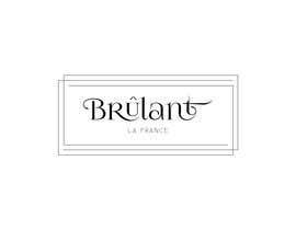 nº 48 pour BRULANT Logo par andreeapica 