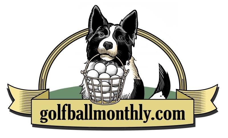 Konkurrenceindlæg #85 for                                                 Logo Design for golfballmonthly.com
                                            