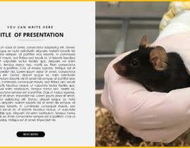 Číslo 3 pro uživatele Animal illustrations for presentation (animal welfare) od uživatele vipul121312