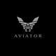 Konkurrenceindlæg #541 billede for                                                     Logo for Men's Aviation Fashion Brand
                                                
