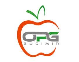 #39 for Design for Company Logo  -  OPG Budimir by bdghagra1
