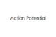 Wasilisho la Shindano #12 picha ya                                                     Design a Logo - Action Potential
                                                