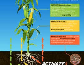 #11 for Nutrient flow illustration by jbktouch