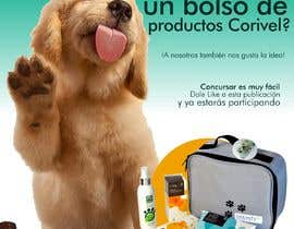 #10 for Concurso para facebook de productos para perro by CiroDavid