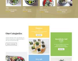 #16 for Website relocation &amp; updating, Catalogue design. by zaxsol