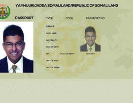 #5 για Design passport bio page and visa page από mariaphotogift