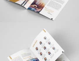 #13 for Create Investment Brochure and become an inhouse designer by amir86