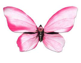 Nro 69 kilpailuun Create abstract butterfly design käyttäjältä khuramja