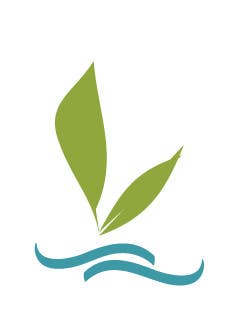 Penyertaan Peraduan #30 untuk                                                 Design a Logo - tree by a river for asset management company
                                            