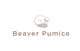 Contest Entry #6 thumbnail for                                                     Logo Beaver Pumice - Custom beaver logo -- 3
                                                