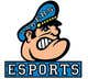 Konkurrenceindlæg #8 billede for                                                     Design a College Esports Logo
                                                