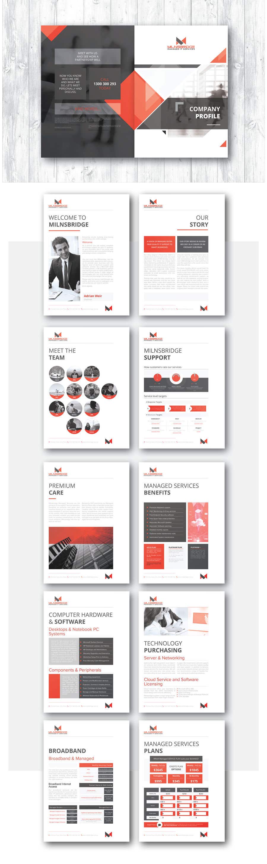 Contest Entry #31 for                                                 Redesign existing company profile, brochure, and design 5 individual product sheets.
                                            