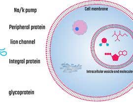 Nro 14 kilpailuun BioSphere with proteins käyttäjältä MohammadElsepaee