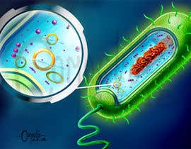 #13 for Technical illustrations, molecular biology by ecomoglio