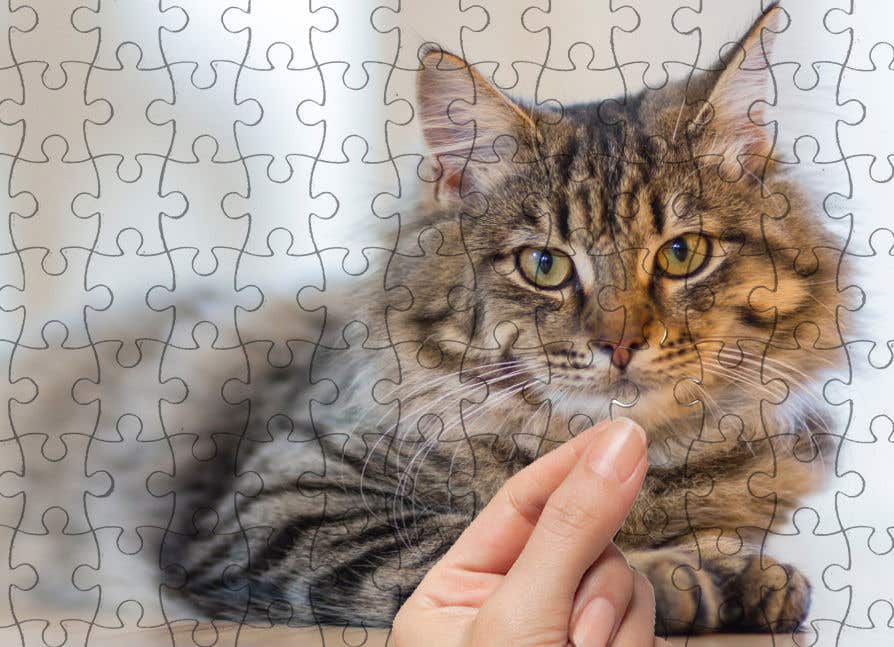 Penyertaan Peraduan #7 untuk                                                 Photo Shop - Image on Jigsaw puzzle
                                            