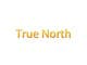 Ảnh thumbnail bài tham dự cuộc thi #11 cho                                                     Logo Design for True North Scientific
                                                