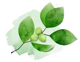 #33 for MAKE ME A HAND DRAWN IMAGE OF KAKADU PLUM FOR PACKAGE by proup7