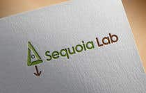 #323 ， LOGO design - Sequoia Lab 来自 naveedahm09