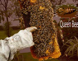 #9 สำหรับ Queen bee recognition โดย Romshed