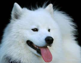 #15 for Vectorized Samoyed Dog Images - Graphic Design Project by naeemjr