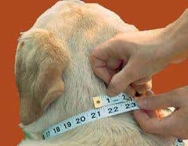 #14 for Take a professional photo measuring dog&#039;s neck af Awal01