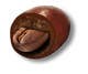 
                                                                                                                                    Icône de la proposition n°                                                7
                                             du concours                                                 HD Image of coffee bean coated in chocolate
                                            