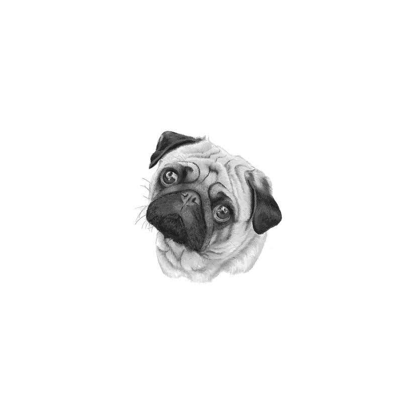 Contest Entry #17 for                                                 Dog Vector
                                            