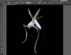 #15 para Illustrator work for orchid decal por garik09kots