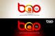Miniatura de participación en el concurso Nro.119 para                                                     Logo Design for www.bao.kz
                                                