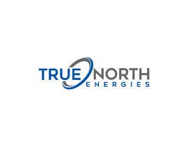 #265 dla Create a Logo for True North Energies przez asthaafrin