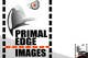 Contest Entry #339 thumbnail for                                                     Logo Design for Primal Edge  -  www.primaledge.com.au
                                                