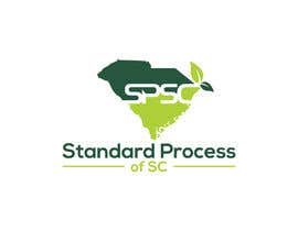 #13 para Standard Process of SC de SahirShakib231