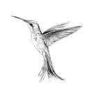 #317 for Bird design for tattoo on shoulder blade by Jezerca