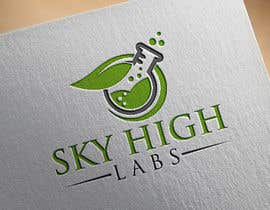 #157 for Logo design for Sky High Labs by mozibulhoque666