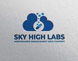 #108 for Logo design for Sky High Labs by mrsoftware23