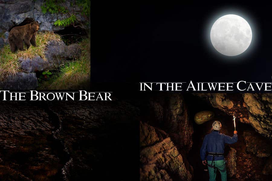 Kilpailutyö #8 kilpailussa                                                 The Brown Bear in the Ailwee Cave
                                            
