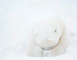 #33 for Modify images of polar bears by Monir24BD