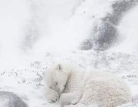 #131 for Modify images of polar bears by MDBAPPI562