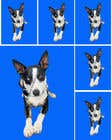 #30 für make my dog image background transparent so I can print them on t-shirts, socks, shorts, etc. von ScrollR