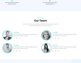 #22 for Ui designing for Static pages of a Crypto platform. by hiraahmmad999