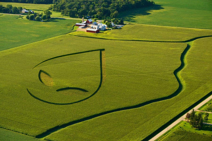 Contest Entry #39 for                                                 PHOTOSHOP!  I need an ALIEN logo photoshopping into a corn field!!
                                            