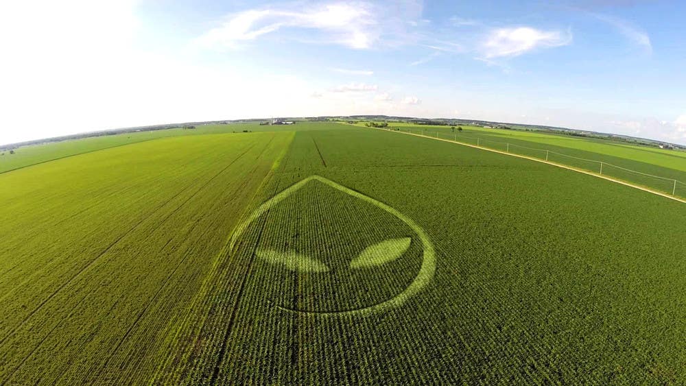 Contest Entry #76 for                                                 PHOTOSHOP!  I need an ALIEN logo photoshopping into a corn field!!
                                            