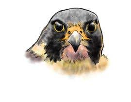 #33 cho sketch of a falcon bởi xianmao