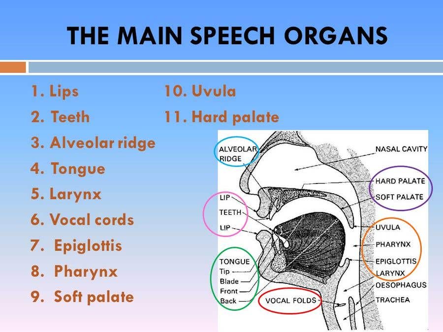 
                                                                                                            Contest Entry #                                        44
                                     for                                         Mouth diagrams / charts
                                    