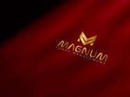 #1165 untuk New Logo - Magnum Funds Management oleh designzteam360