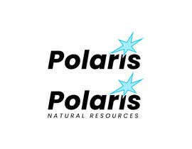 #98 for Polaris Logo Update - 26/11/2021 18:51 EST af dreammrkhan